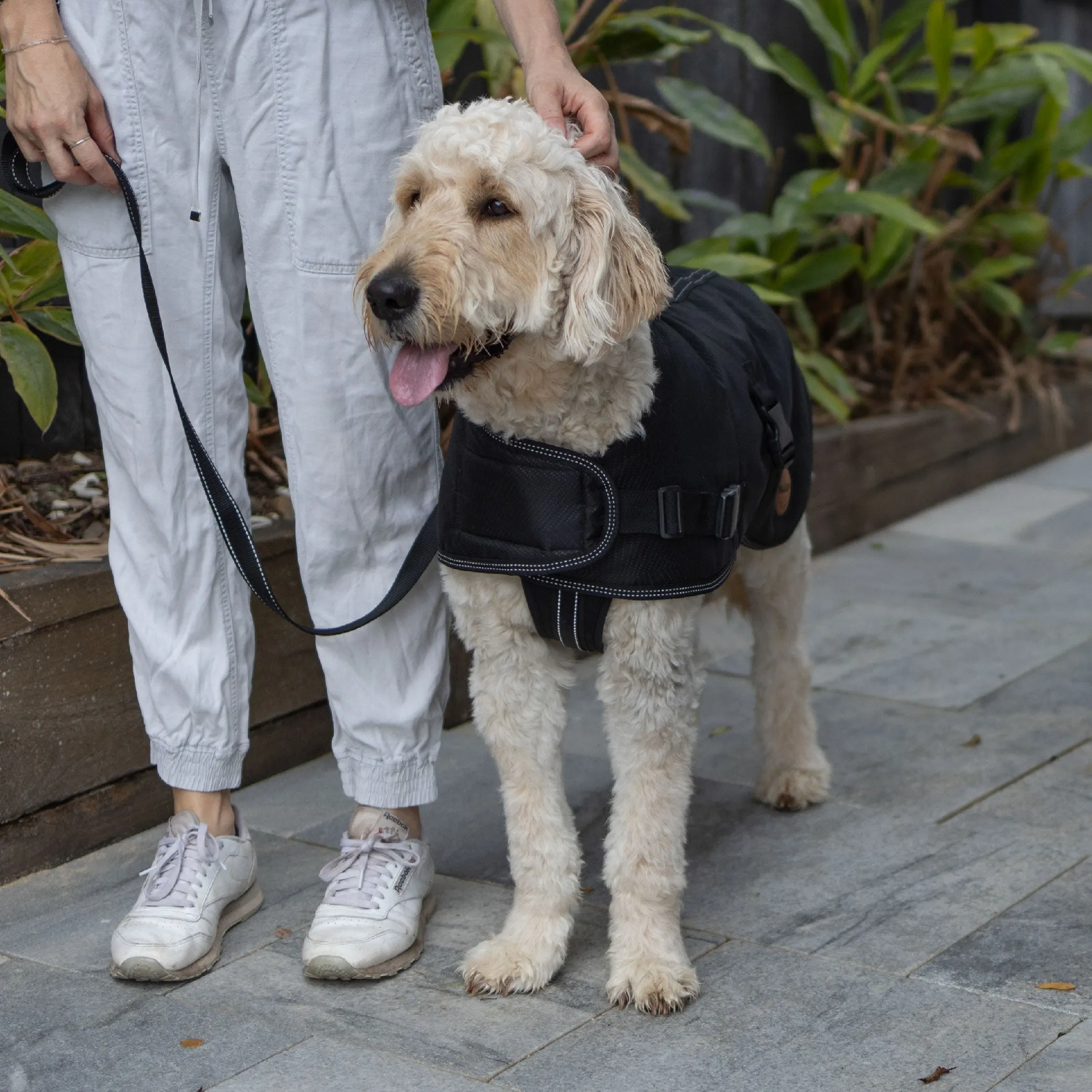 Adventure Dog Coat with Harness Hatch - Black