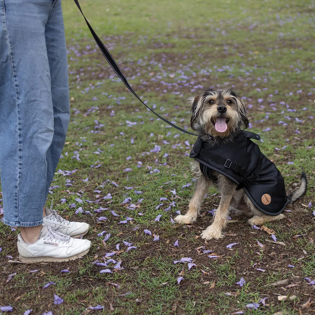 Adventure Dog Coat with Harness Hatch - Black