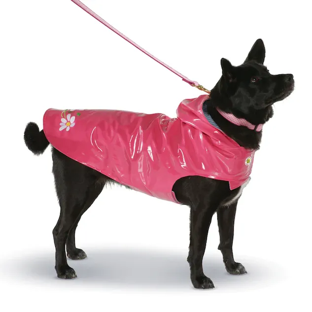 Raincoat Slicker | Pink Daisy